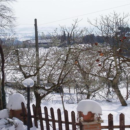 Belvedere Cramaccioli Vigne المظهر الخارجي الصورة