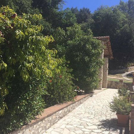 Belvedere Cramaccioli Vigne المظهر الخارجي الصورة
